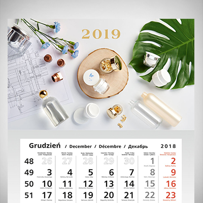 Kalendarz Pollena 2019